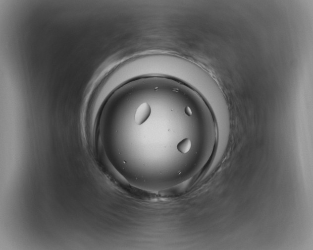 X0000115810296200911201424