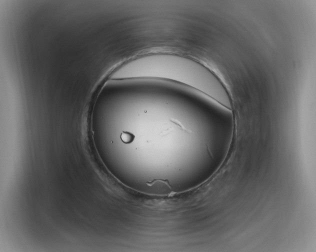 X0000115810297200911201424