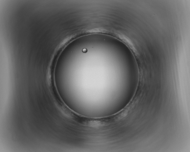 X0000115810298200911201424