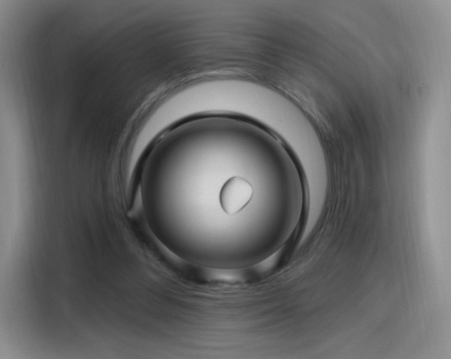 X0000115810300200911201424