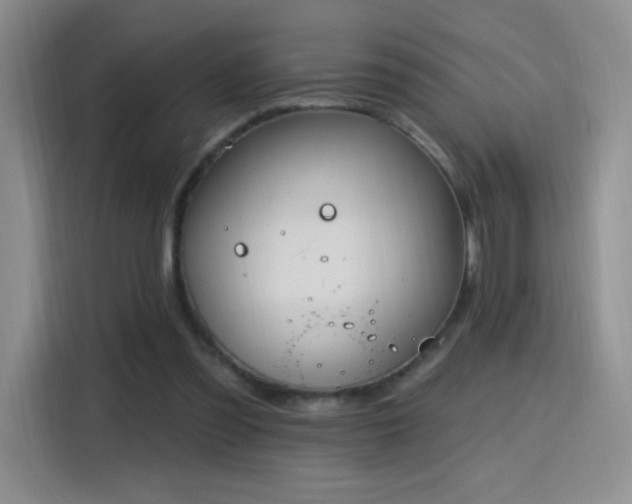 X0000115810301200911201424