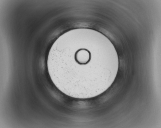 X0000115810302200911201424