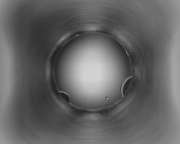 X0000115810304200911201424