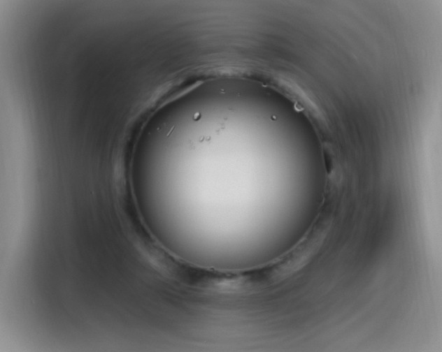 X0000115810306200911201424