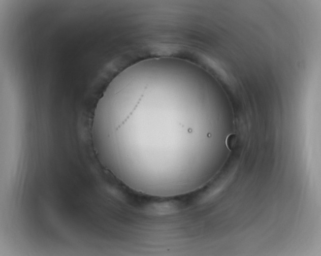 X0000115810307200911201424