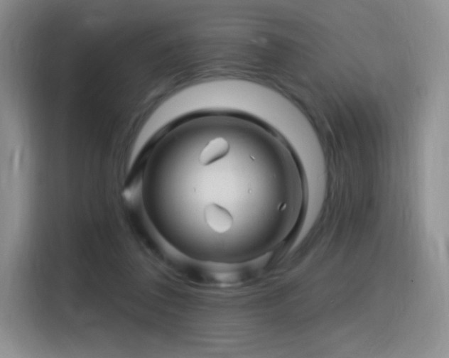 X0000115810308200911201424