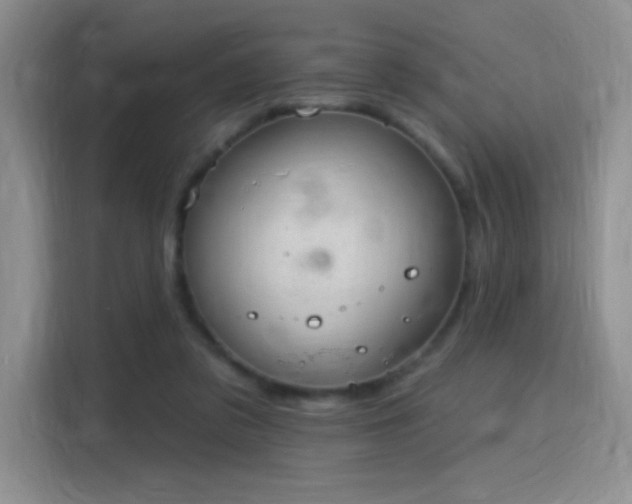 X0000115810309200911201424