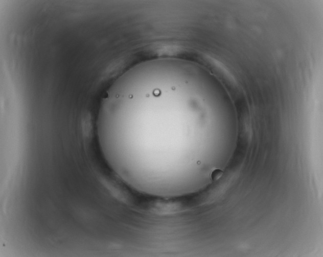 X0000115810311200911201424