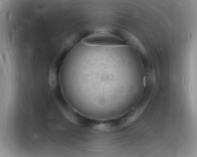 X0000115810312200911201424