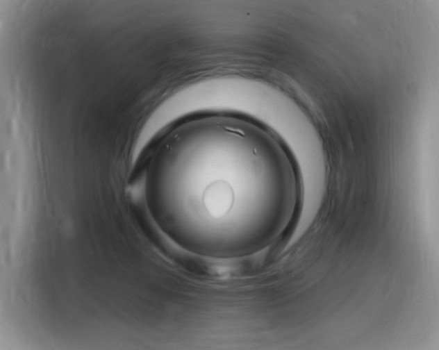 X0000115810313200911201424