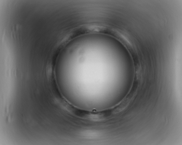 X0000115810314200911201424
