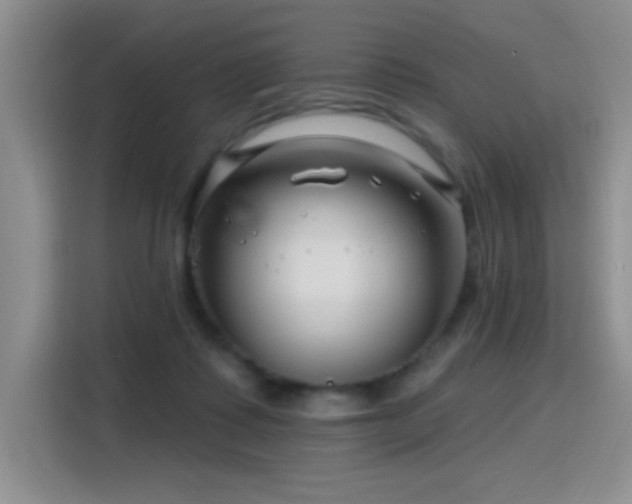 X0000115810315200911201424