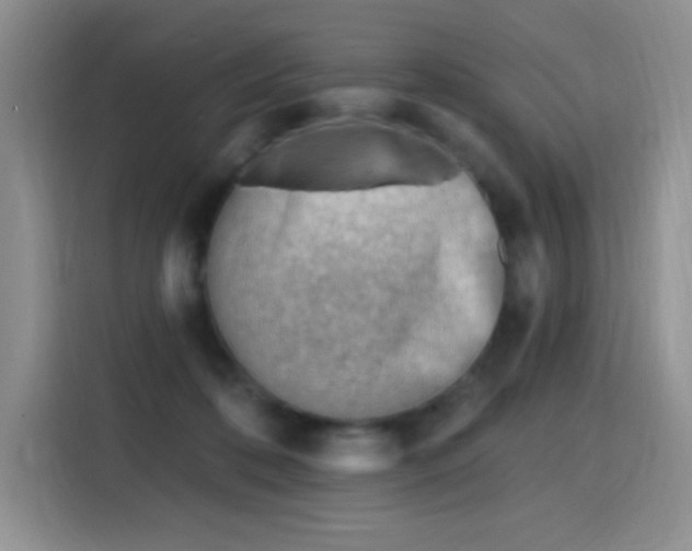 X0000115810316200911201424