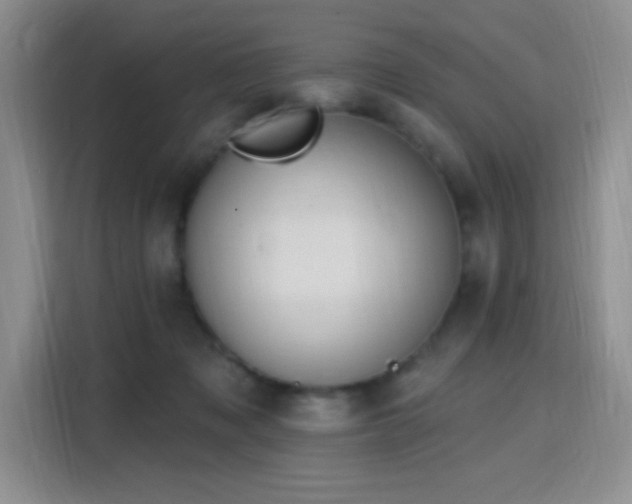 X0000115810317200911201424