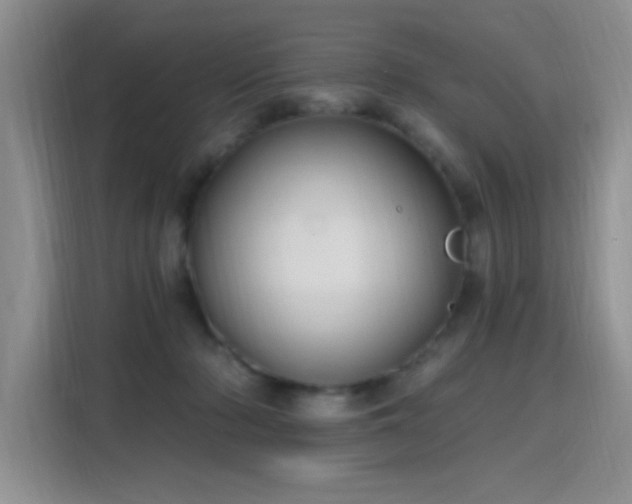X0000115810318200911201424