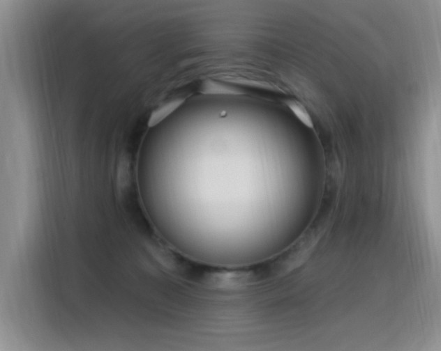 X0000115810323200911201424