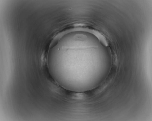 X0000115810324200911201424