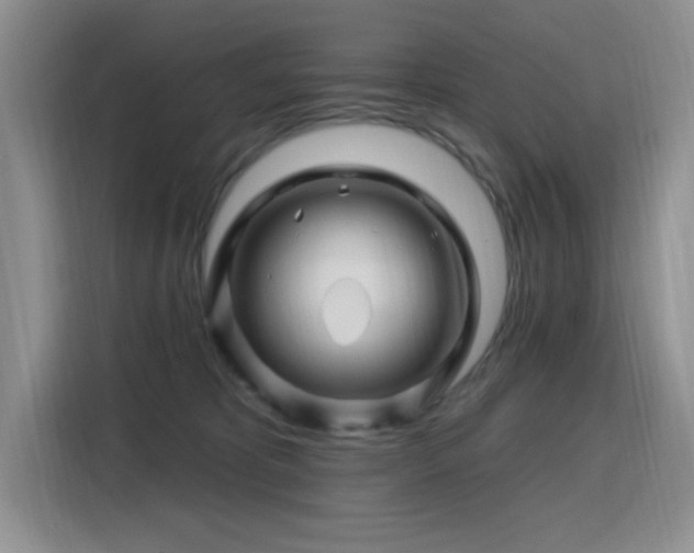 X0000115810325200911201424