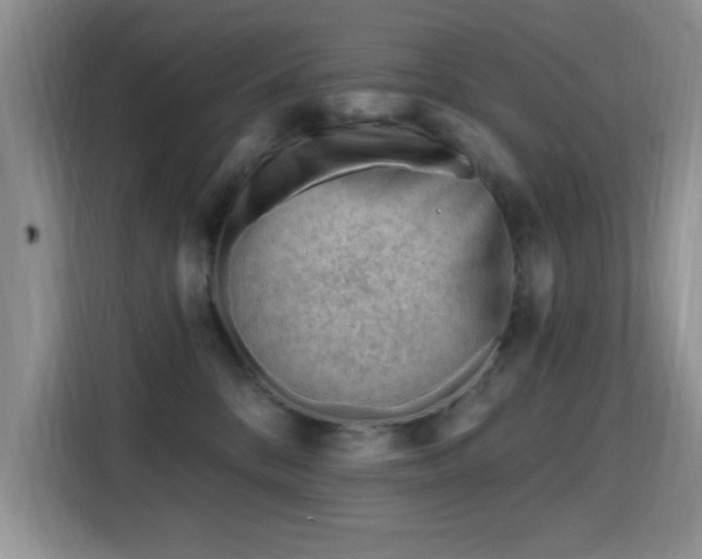 X0000115810328200911201424