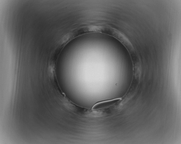 X0000115810329200911201424