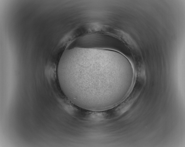X0000115810332200911201424