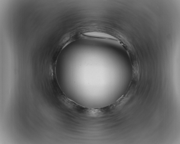 X0000115810333200911201424