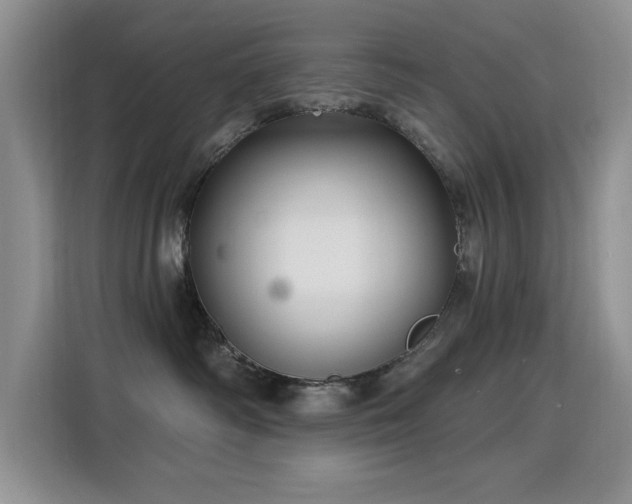 X0000115810334200911201424