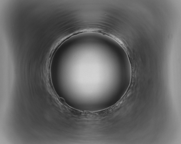 X0000115810337200911201423