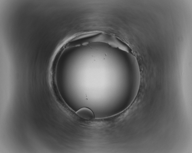 X0000115810342200911201423
