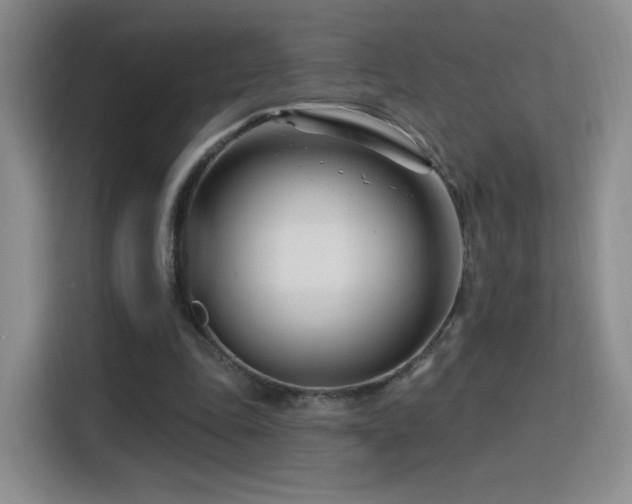 X0000115810343200911201423