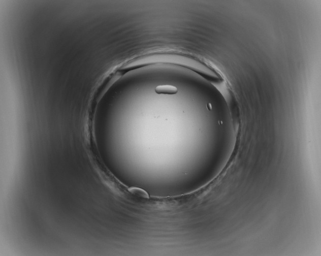 X0000115810345200911201423