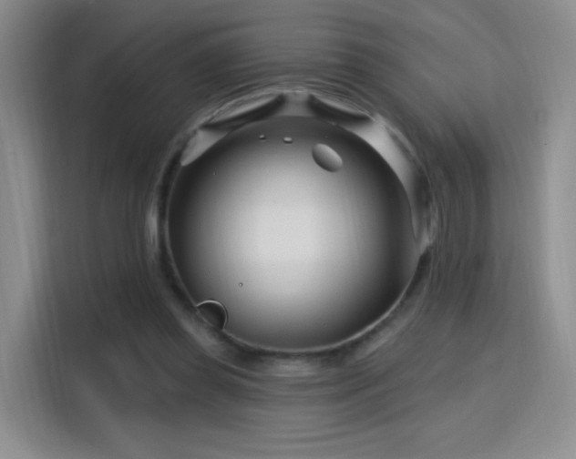 X0000115810349200911201423