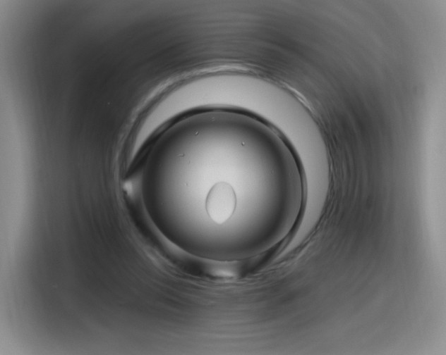 X0000115810350200911201423