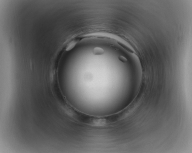 X0000115810355200911201423
