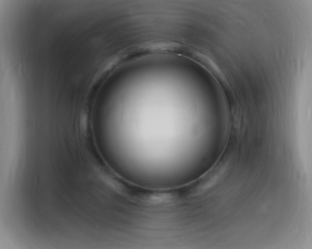 X0000115810357200911201423