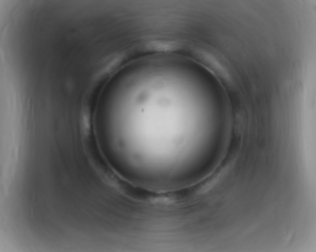 X0000115810358200911201423
