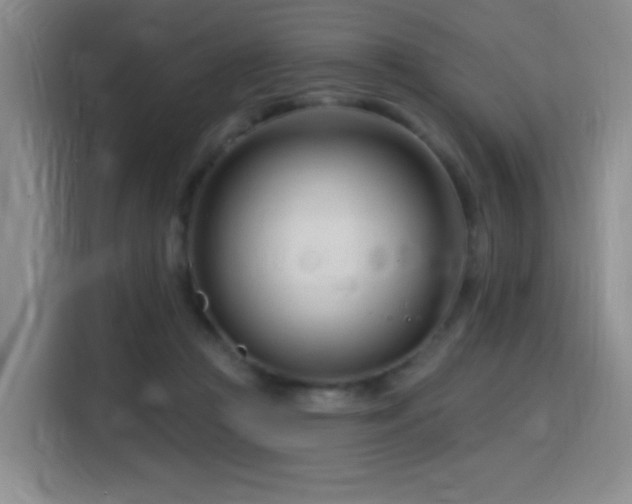 X0000115810361200911201423