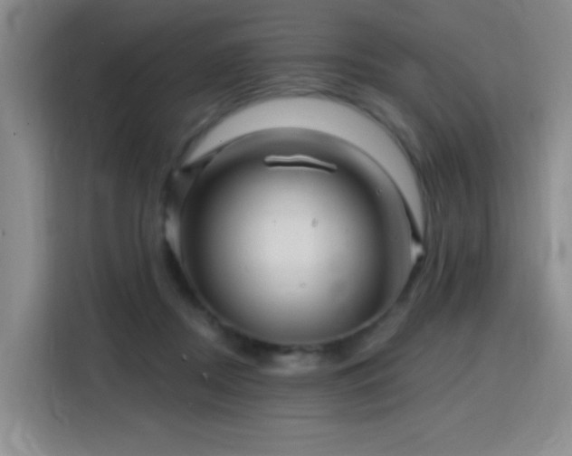 X0000115810362200911201423