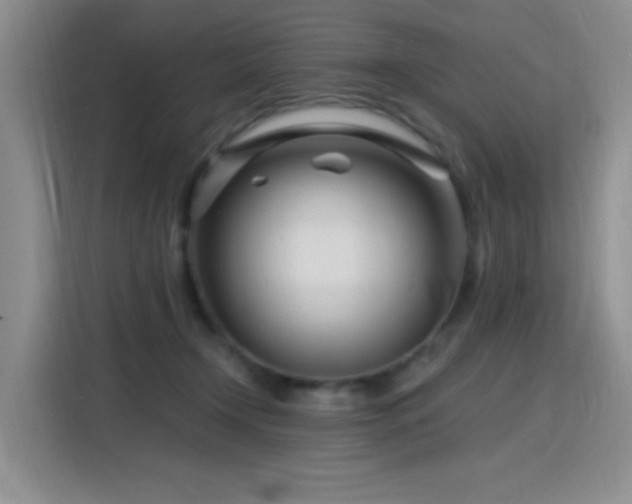 X0000115810366200911201423