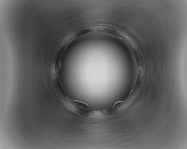 X0000115810381200911201424