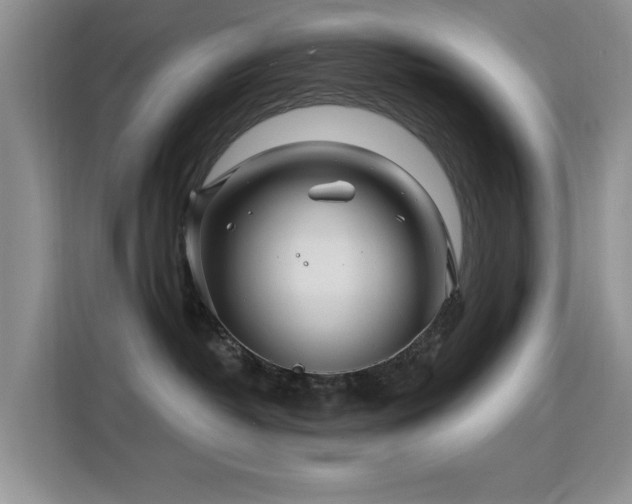 X0000115810382200911201424