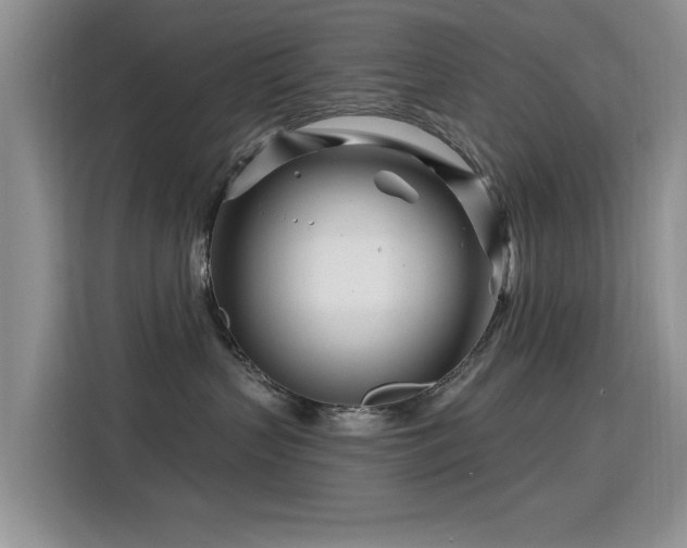 X0000115810383200911201424