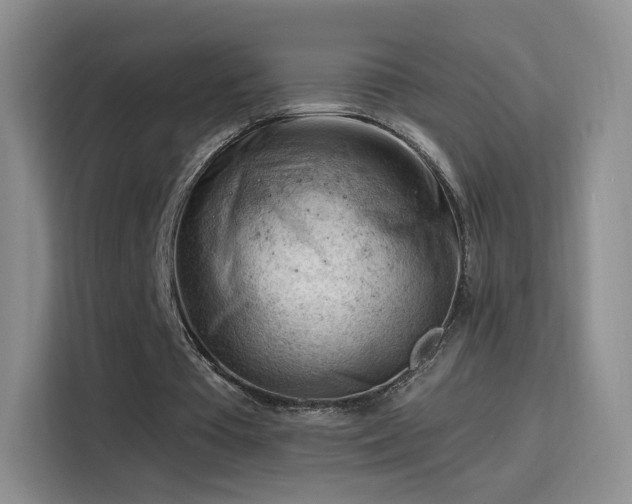 X0000115810385200911201423