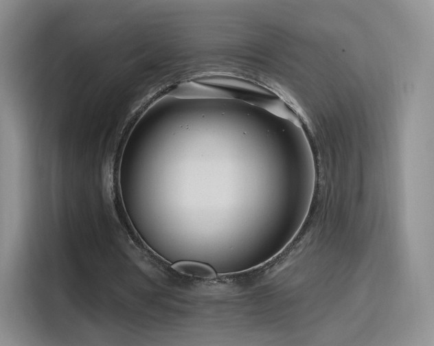 X0000115810386200911201423