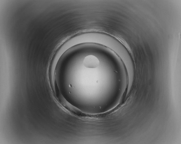X0000115810389200911201423