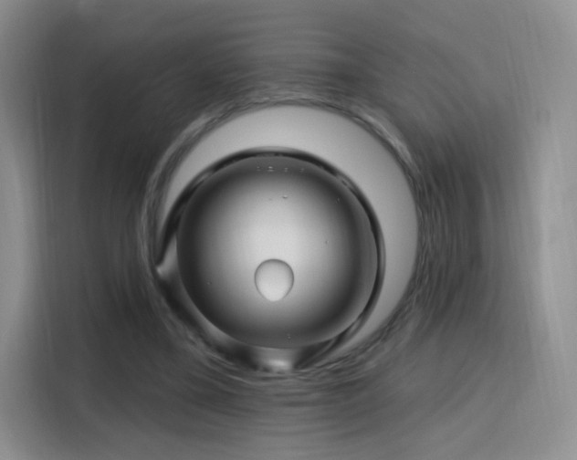 X0000115810395200911201423