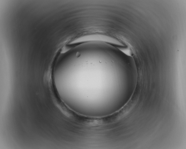 X0000115810398200911201423