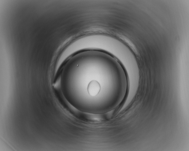 X0000115810399200911201423