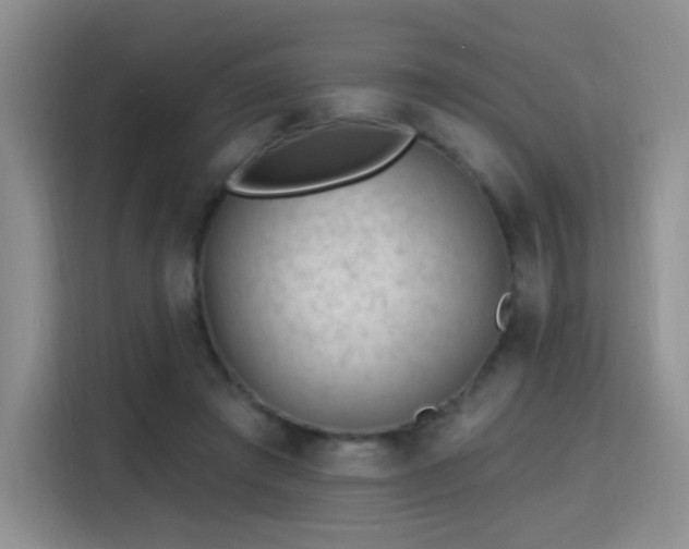 X0000115810401200911201423