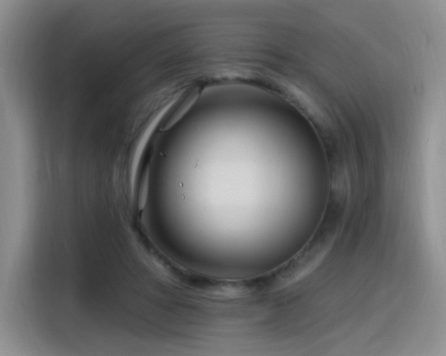 X0000115810402200911201423